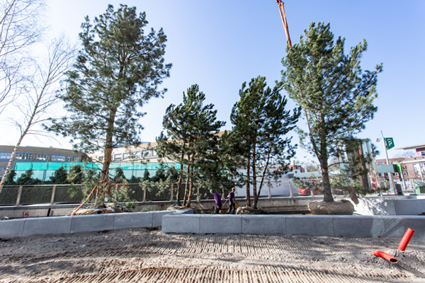 AquaMulti Box Capillair Systeem voor bomen Museumpark