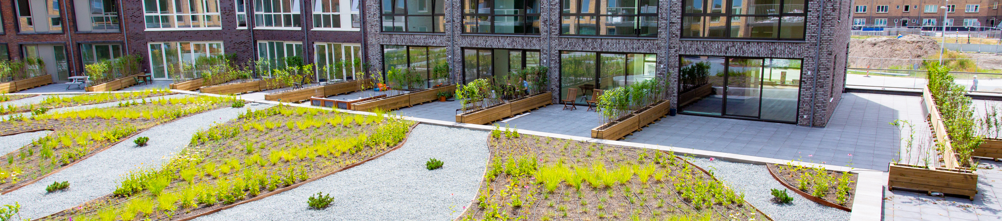 Ecodak met gebruikersdak en waterretentie op parkeergarage appartementencomplex Amsterdam